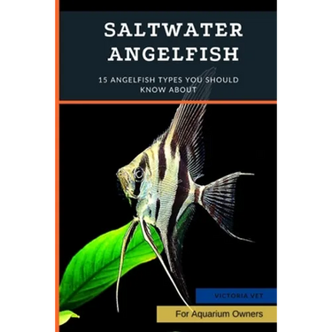 Saltwater Angelfish: 15 Angelfish Types You Should Know About