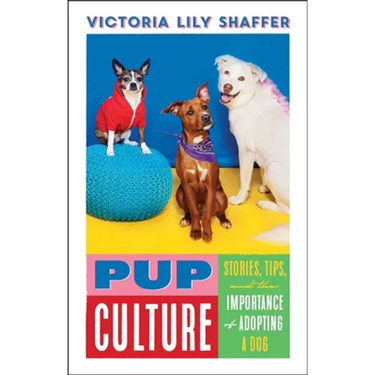 Pup Culture: Stories, Tips, and the Importance of Adopting a Dog