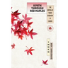A Path Through Red Maples: The Arrival of Tendai Buddhism in Canada