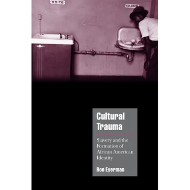 Cultural Trauma: Slavery and the Formation of African American Identity