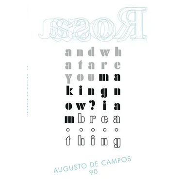 Rosa - Augusto de Campos 90