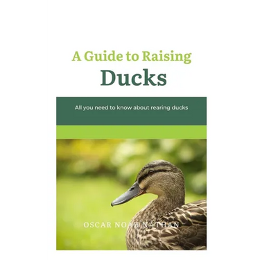 A Guide to Raising Ducks: All you need to know about rearing duck