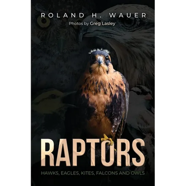 Raptors: Hawks, Eagles, Kites Falcons, and Owls