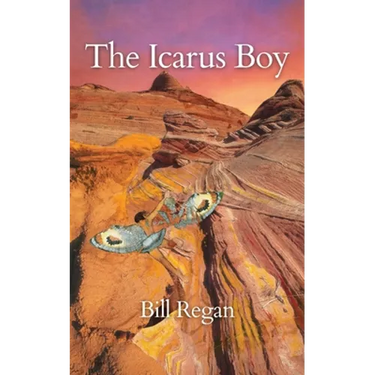 The Icarus Boy