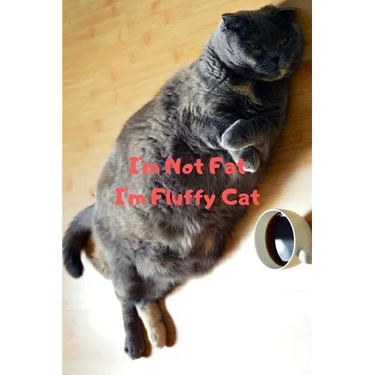 I'm Not Fat I'm Fluffy Cat Gift For Mom Wife Lover Women Sister Nurse