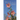 Wild Flowers of North Carolina, 2nd Ed.