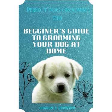 Perfect dog grooming tips: Beginner's guide to grooming your dog at home