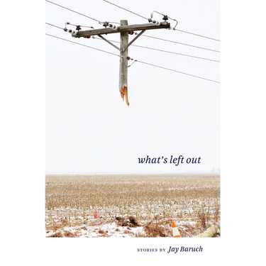 What's Left Out: Stories