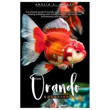 Oranda Goldfish: The ultimate guide to Oranda Goldfish care, behavior, health, feeding, breeding, tank mates, choosing right tank sizes