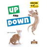 Up and Down