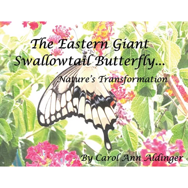The Eastern Giant Swallowtail Butterfly: Nature's Transformation