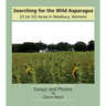 Searching for the Wild Asparagus: 23 (or 22) Acres in Newbury, Vermont
