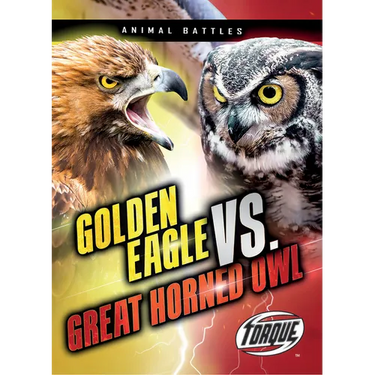 Golden Eagle vs. Great Horned Owl
