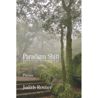 Paradigm Shift