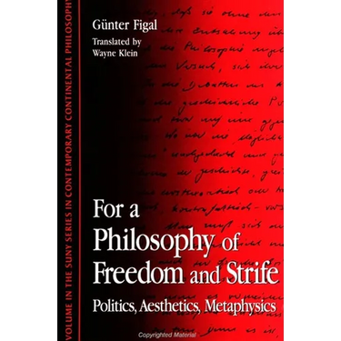 For a Philosophy of Freedom and Strife: Politics, Aesthetics, Metaphysics