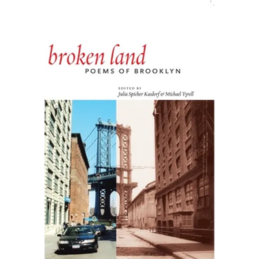 Broken Land: Poems of Brooklyn