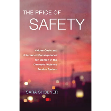 The Price of Safety: Hidden Costs and Unintended Consequences for Women in the Domestic Violence Service System