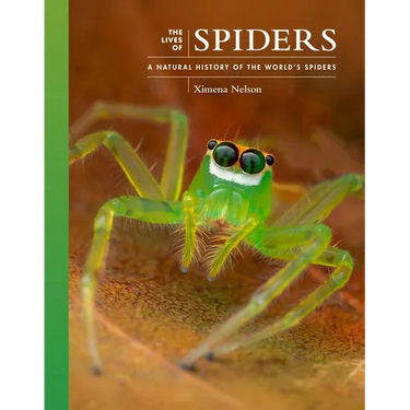 The Lives of Spiders: A Natural History of the World's Spiders