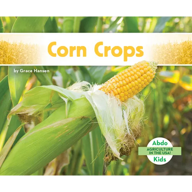 Corn Crops