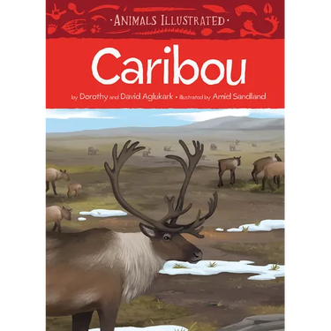 Animals Illustrated: Caribou