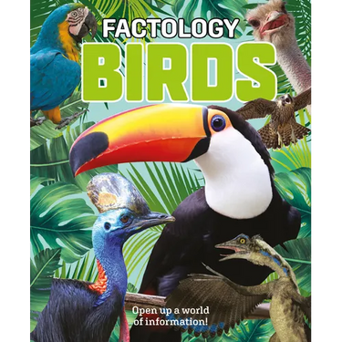 Factology: Birds: Open Up a World of Information!