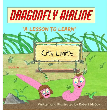 Dragonfly Airline - "A Lesson to Learn"