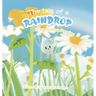 The tale of a raindrop