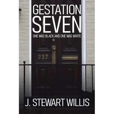 Gestation Seven: One Was Black and One Was White