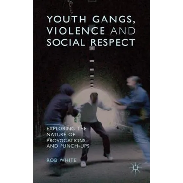 Youth Gangs, Violence and Social Respect: Exploring the Nature of Provocations and Punch-Ups