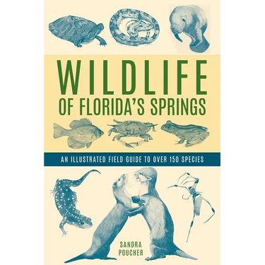 Wildlife of Florida's Springs: An Illustrated Field Guide to Over 150 Species