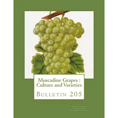 Muscadine Grapes: Culture and Varieties: Bulletin 205