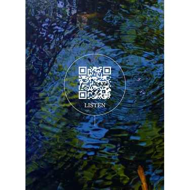 Wetland Project: Explorations in Sound, Ecology and Post-Geographical Art