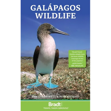 Galapagos Wildlife