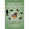 What the Robin Knows