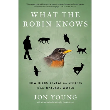 What the Robin Knows