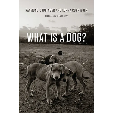What Is a Dog?