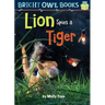 Lion Spies a Tiger