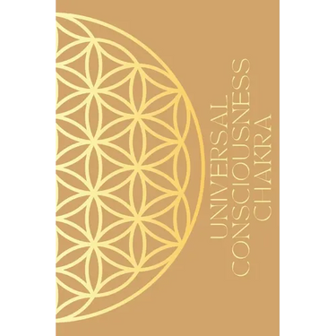 Universal Consciousness Journal
