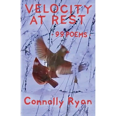 Velocity at Rest: 99 Poems