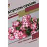 Adenium obesum: Open terrarium, Beginner's Guide