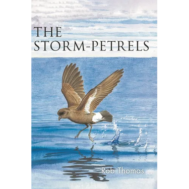 The Storm-Petrels