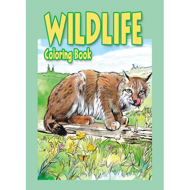 Wildlife Coloring Book