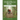 Whatever You Love You Are: Poems for the Rest of Life