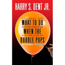 What to Do When the Bubble Pops: Personal and Business Strategies for the Coming Economic Winter