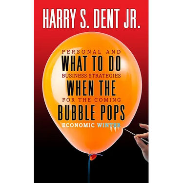 What to Do When the Bubble Pops: Personal and Business Strategies for the Coming Economic Winter