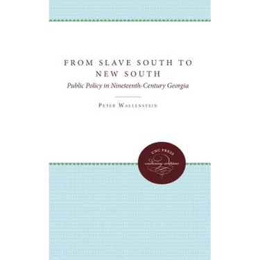 From Slave South to New South: Public Policy in Nineteenth-Century Georgia