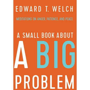 A Small Book about a Big Problem: Meditations on Anger, Patience, and Peace