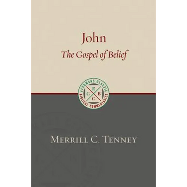 John: The Gospel of Belief: An Analytic Study of the Text