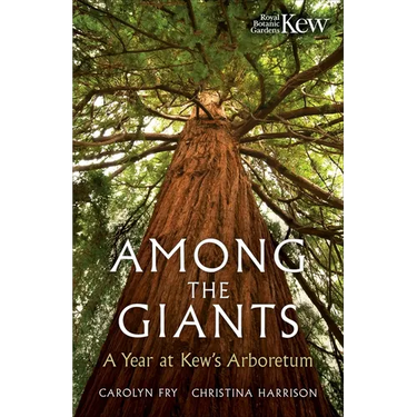 Among the Giants: Life in the Trees at Kew