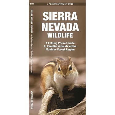Sierra Nevada Wildlife: A Folding Pocket Guide to Familiar Animals of the Montane Forest Region